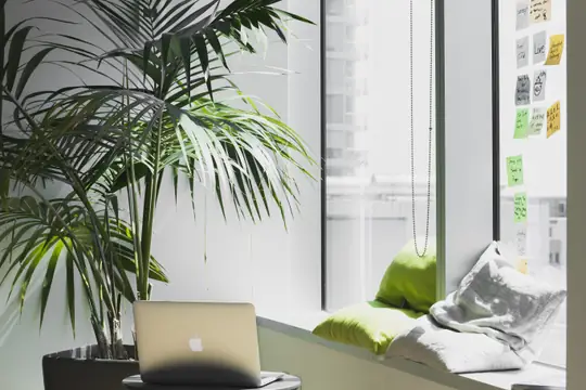 oContis Studio | Maximizing Customer Lifetime Value on Shopify Plus: Effective Strategies for Growth