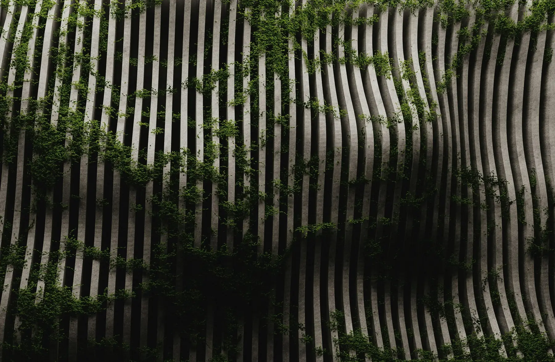 Wavy concrete facade with climbing vines, suggesting a storefront structure that still needs an owner after Shopify Canvas and Sidekick start adding sections